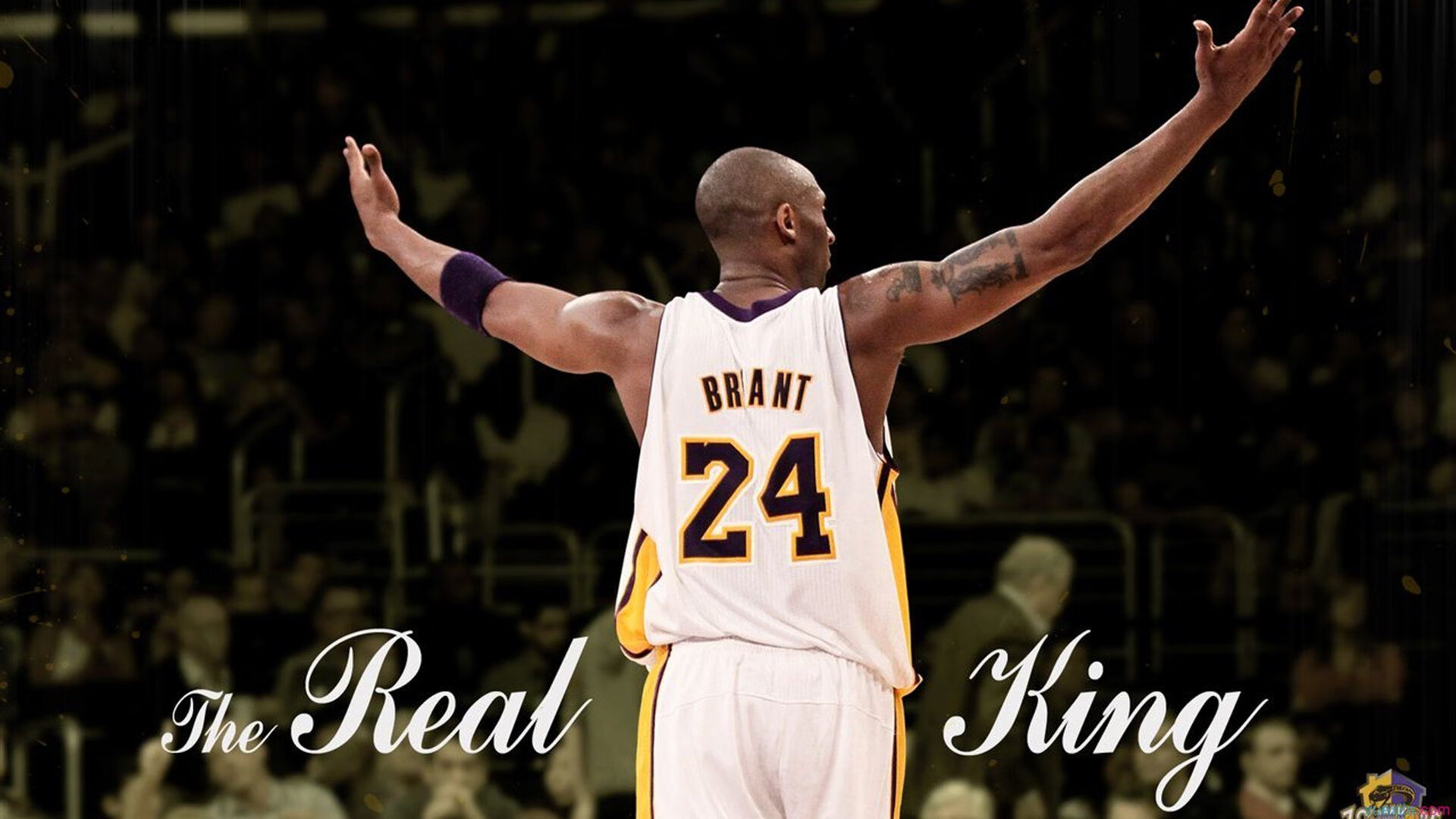 詹姆斯连续三场比赛得分超过高光表现,RNG挑战极限!-开云手机版